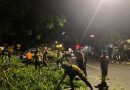 Bersama SAR dan Warga, Polres Sukoharjo Evakuasi Pohon Tumbang Yang Menutup Ruas Jalan