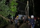 Satgas Preventif OLC 2024 Polres Sukoharjo dan Tim SAR Tangani Pohon Tumbang