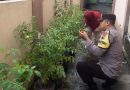 Bhabinkamtibmas Karangwuni Ajak Warga Manfaatkan Pekarangan untuk Pertanian Produktif