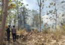 Kebakaran Lahan Seluas 4 Hektare di Bulu Sukoharjo Berhasil Dipadamkan, Tak Ada Korban