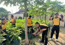 Polsek Grogol Panen Terong di Pekarangan Bergizi, Dukung Program Ketahanan Pangan