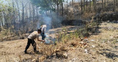 Polisi Datangi Lokasi Kebakaran Lahan di Tawangsari, Api Padam Setelah 1 Jam